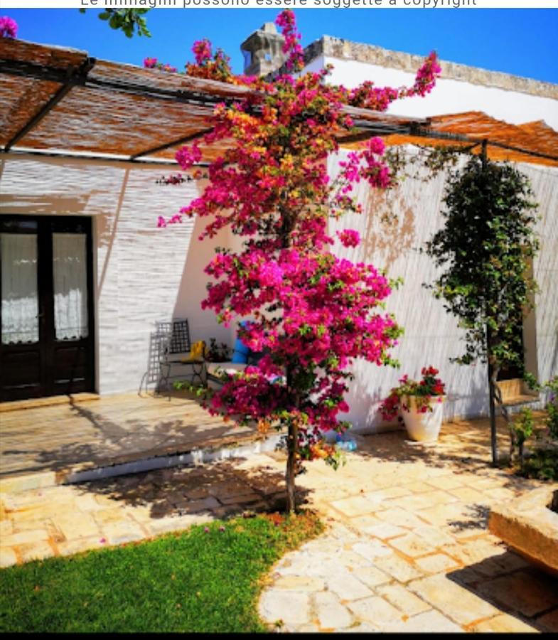 Room In Bb - Stunning Quadruple Room In Ancient Masseria Near The Sea In A Quiet Olive Trees Ostuni Εξωτερικό φωτογραφία