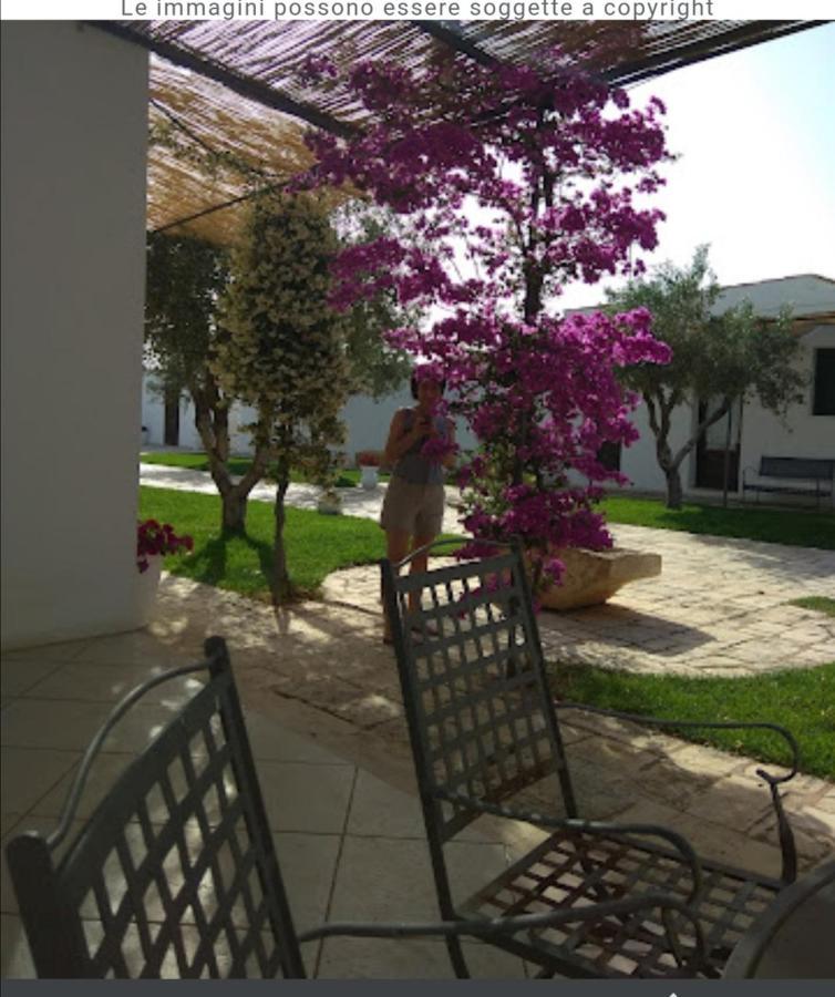 Room In Bb - Stunning Quadruple Room In Ancient Masseria Near The Sea In A Quiet Olive Trees Ostuni Εξωτερικό φωτογραφία