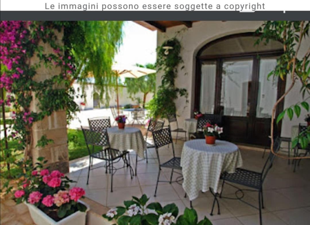 Room In Bb - Stunning Quadruple Room In Ancient Masseria Near The Sea In A Quiet Olive Trees Ostuni Εξωτερικό φωτογραφία