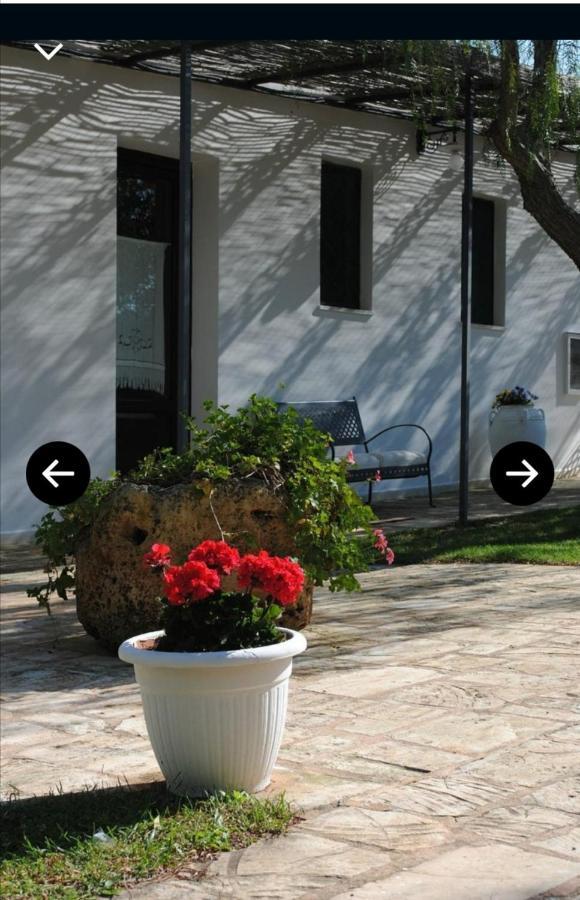 Room In Bb - Stunning Quadruple Room In Ancient Masseria Near The Sea In A Quiet Olive Trees Ostuni Εξωτερικό φωτογραφία