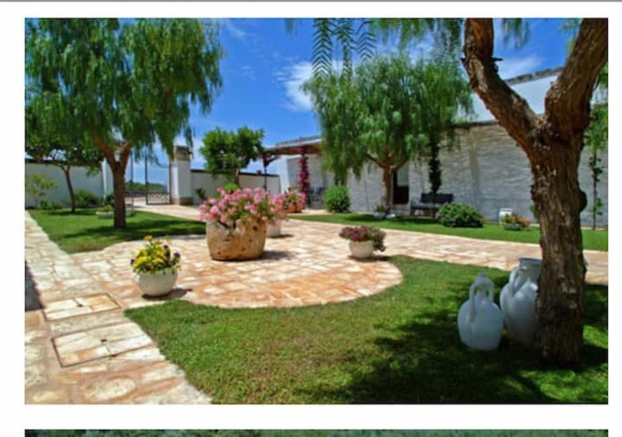 Room In Bb - Stunning Quadruple Room In Ancient Masseria Near The Sea In A Quiet Olive Trees Ostuni Εξωτερικό φωτογραφία