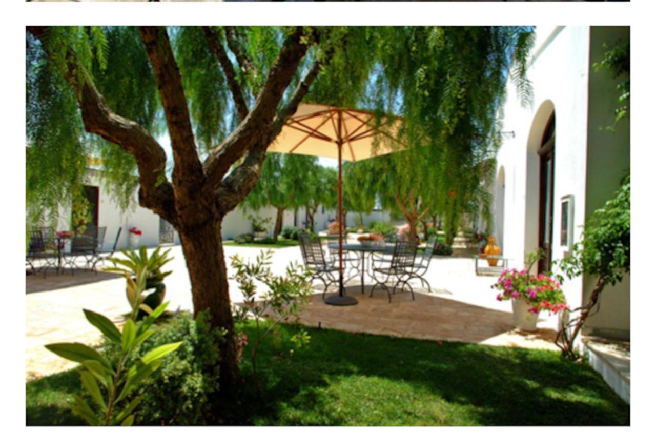 Room In Bb - Stunning Quadruple Room In Ancient Masseria Near The Sea In A Quiet Olive Trees Ostuni Εξωτερικό φωτογραφία