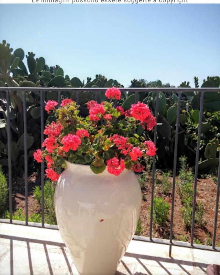 Room In Bb - Stunning Quadruple Room In Ancient Masseria Near The Sea In A Quiet Olive Trees Ostuni Εξωτερικό φωτογραφία